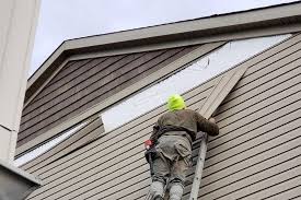 Best Siding Painting and Refinishing  in Waretown, NJ